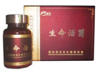 植物源活性乳酸菌