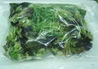 沙律混合生菜 Mixed Vegetable for Salad