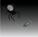 Sacred Solar Spider/Black Beetle