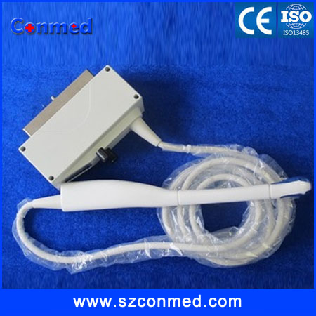 ESAOTE EC123 Transvaginal Array Ultrasound Transducer
